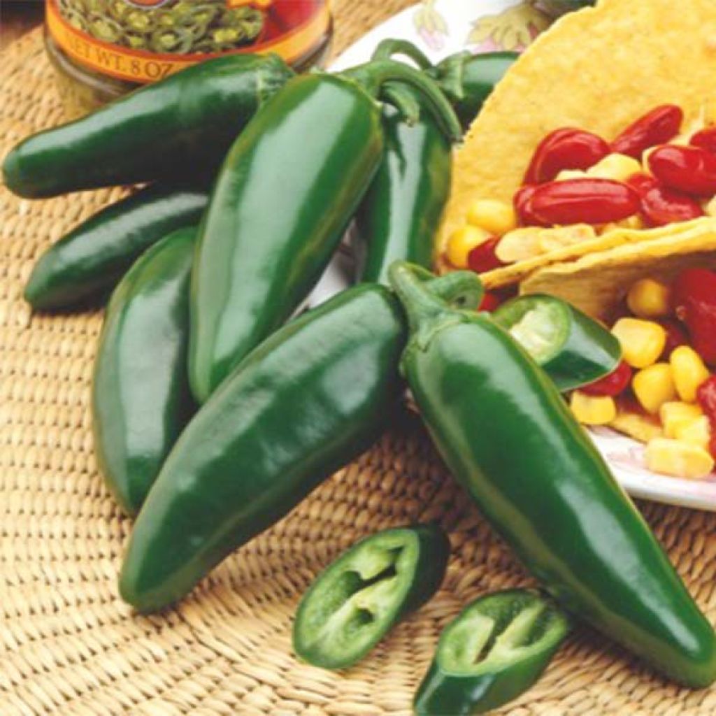 Pimento Jalapeño Mexicano