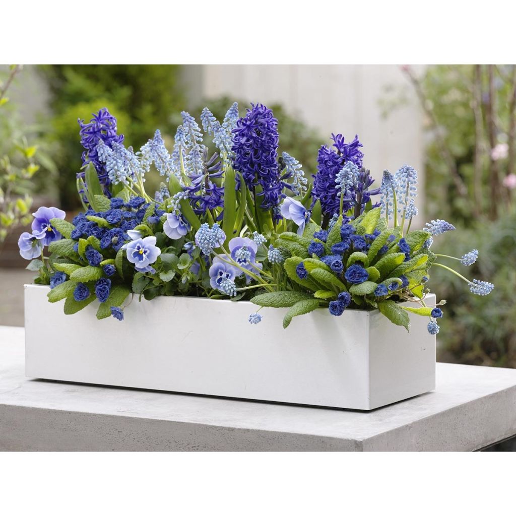 Coleção Primavera Céu & Mar