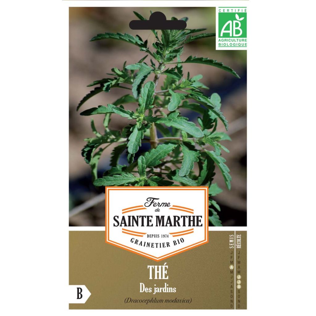 Cabeça-de-dragão-da-moldávia - Ferme de Sainte Marthe Bio