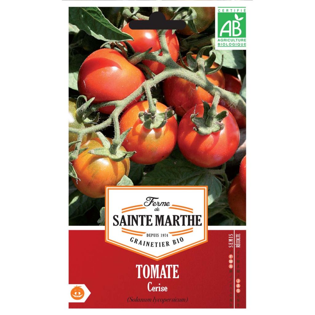 Tomate Cerise AB - Ferme de Ste Marthe