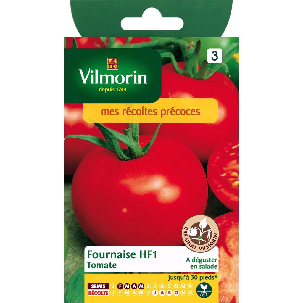 Tomate Fournaise F1 - Vilmorin