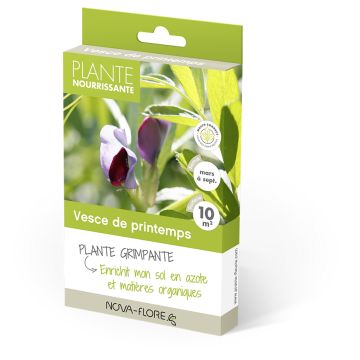 Ervilhaca-comum adubo verde - Vicia sativa