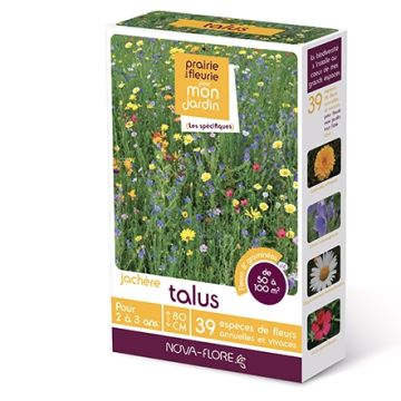 Prado florido para taludes