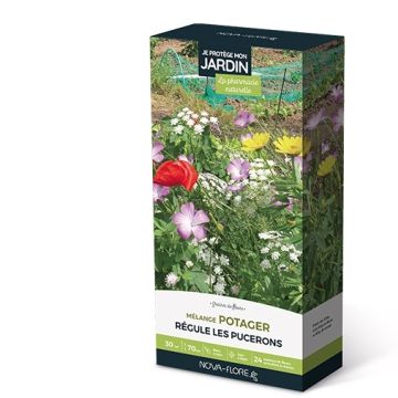 Mistura de sementes para proteção da horta - Caixa para 30 m²