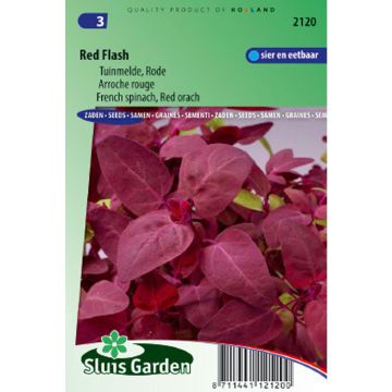 Erva armola vermelha