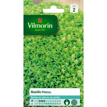 Manjericão Pistou Vilmorin - Ocimum basilicum