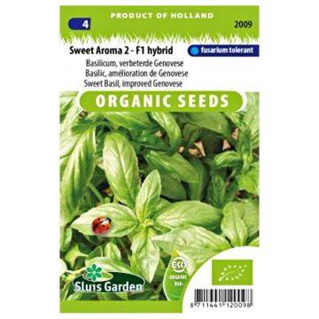 Manjericão de Génova Sweet Aroma Bio F1