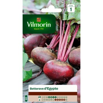 Beterraba Preta achatada do Egito Vilmorin