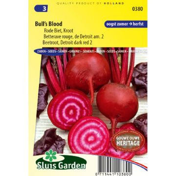 Beterraba Bulls Blood