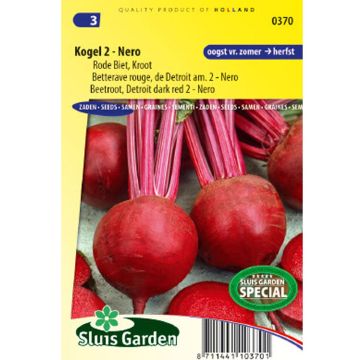 Beterraba Vermelha Detroit, Am. 2 - Nero