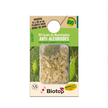 CALPOP larvas contra moscas-brancas e ácaros Biotop CALPOP larvas contra moscas-brancas e ácaros Biotop