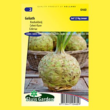 Aipo-rábano Goliath