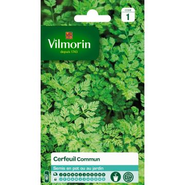 Cerefólio comum Vilmorin