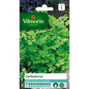 Cerefólio crespo Vilmorin