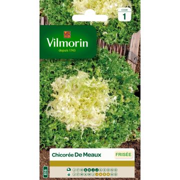 Chicória-frisada Fina de Meaux Vilmorin