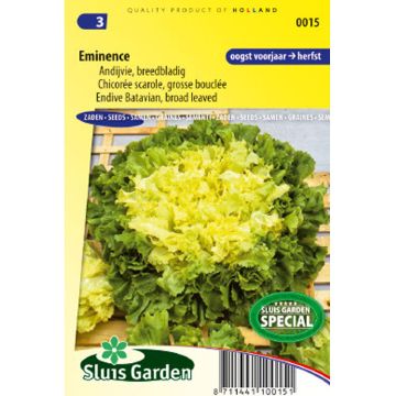 Chicória Escarola Grosse Bouclée Eminence