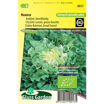 Chicória Escarola Nuance Bio