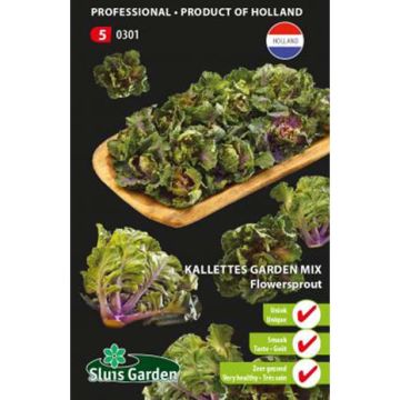 Couve de bruxalas frisada Flower Sprout - Kalettes Garden Mix