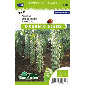 Couve-de-bruxelas Igor F1 Bio