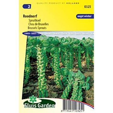 Couve-de-bruxelas Roodnerf