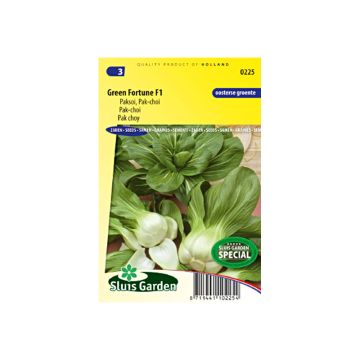 Couve chinesa Pak Choi Green Fortune F1
