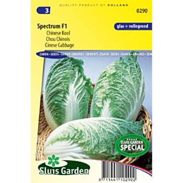 Couve-chinesa Pe Tsai Spectrum F1