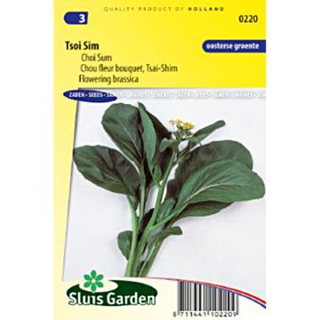 Couve-chinesa Tsai Shim