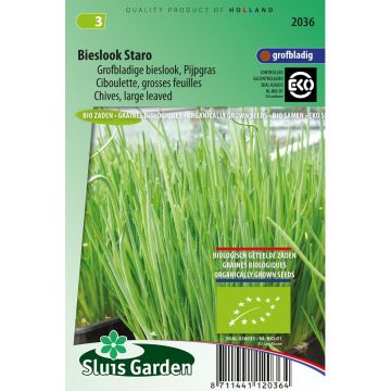 Cebolinho Bio Staro de Folhas Grandes