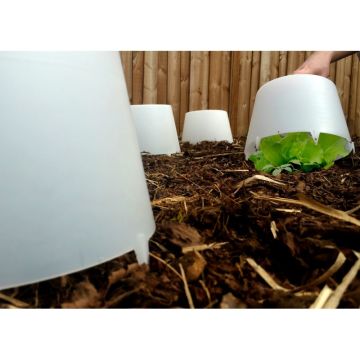 Cúpula incolor para salada Ø 24 cm x 15 cm - vendida em conjunto de 3