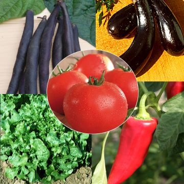 Coleção Cesto Biológico - 5 Saquetas de Sementes AB Coleção Cesto Biológico - 5 Saquetas de Sementes AB