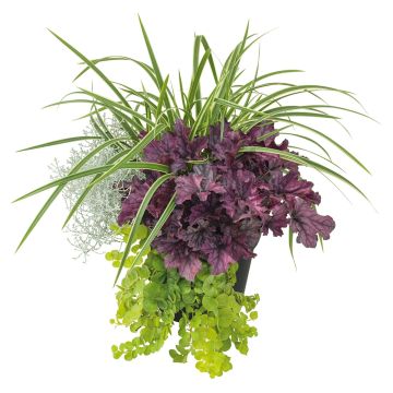 Composição Silent Sunday