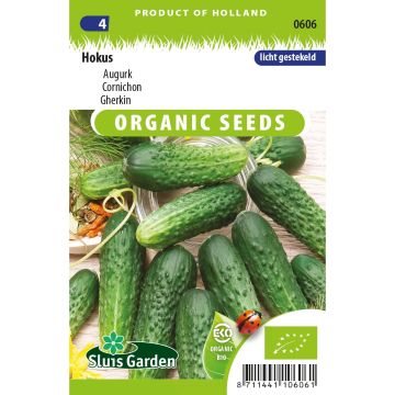 Pepino Hokus Bio