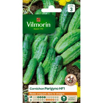 Pepino Parigyno HF1 Vilmorin