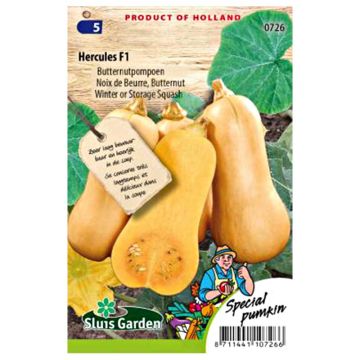 Abóbora Butternut Hercules F1