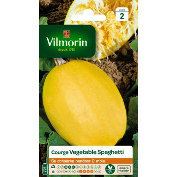 Abóbora espaguete vegetal Vilmorin