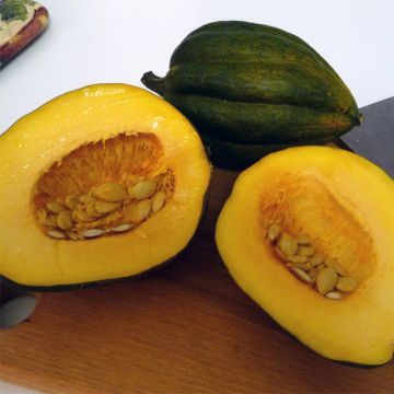 Abóbora Table King - Rei da Mesa