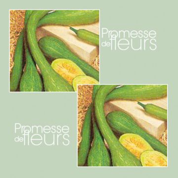 Abóbora Tromba dAlbenga - Trombeta de Albenga