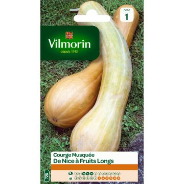 Abóbora de Nice com frutos compridos Vilmorin