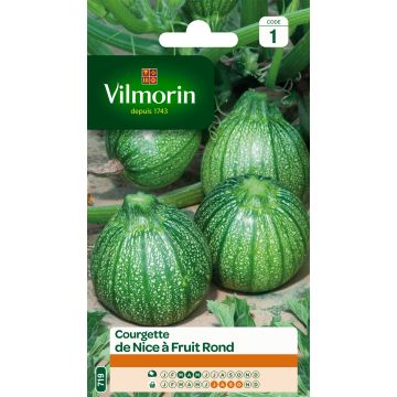 Courgette de Nice com fruto redonda Vilmorin