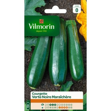 Courgette verde preta para horta Vilmorin