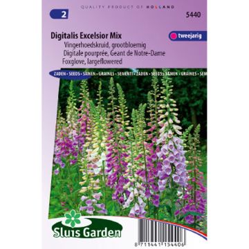 Sementes de Digitalis purpurea Excelsior mistura