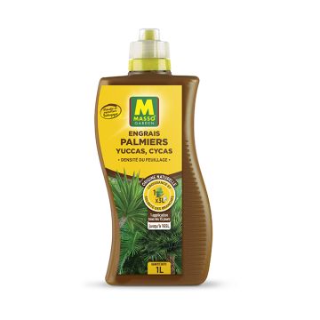 Fertilizante Líquido para Palmeiras, Yuccas e <i>Phoenix</i> — UAB Masso Garden