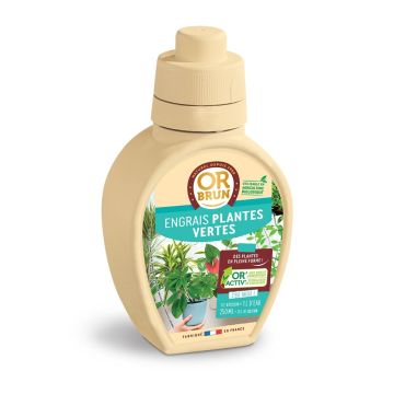Fertilizante líquido para plantas de interior de folhagem verde Or Brun