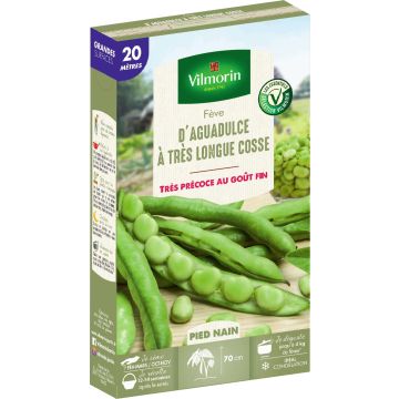 Fava Aguadulce com vagem muito comprida Vilmorin