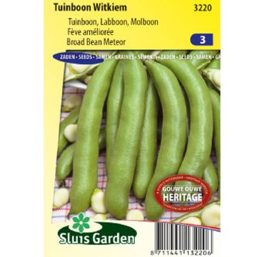 Fava Witkiem Melhorado