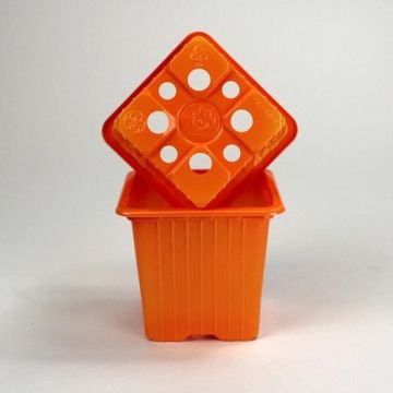 Vaso para multiplicação, cor laranja - vendido por 30 unidades