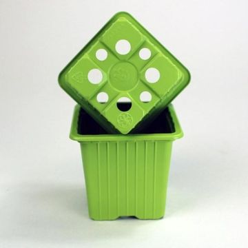 Vaso de multiplicação cor verde-bambu - vendido por 30 unidades