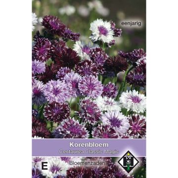 Aciano Classic Magic em sementes