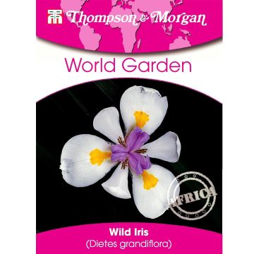 Dietes grandiflora em sementes