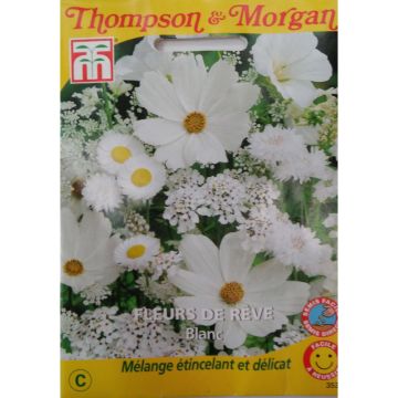 Sementes de Flores de Sonho Brancas